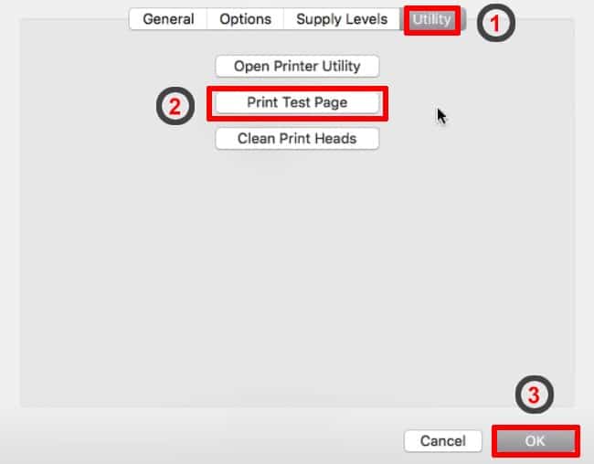 Print Test Page Options